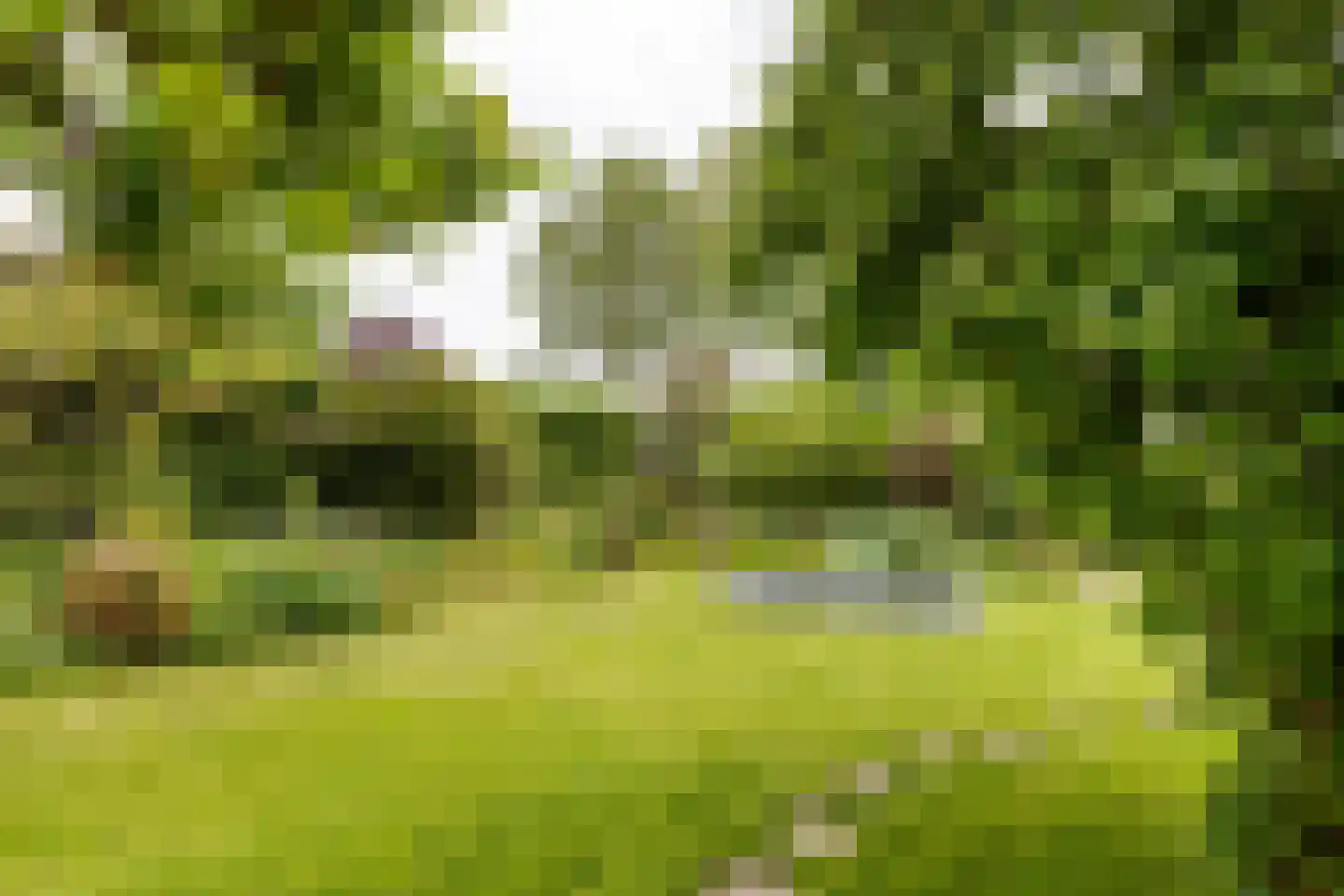 Wildveldseweg 3 Harmelen thumbnail 26
