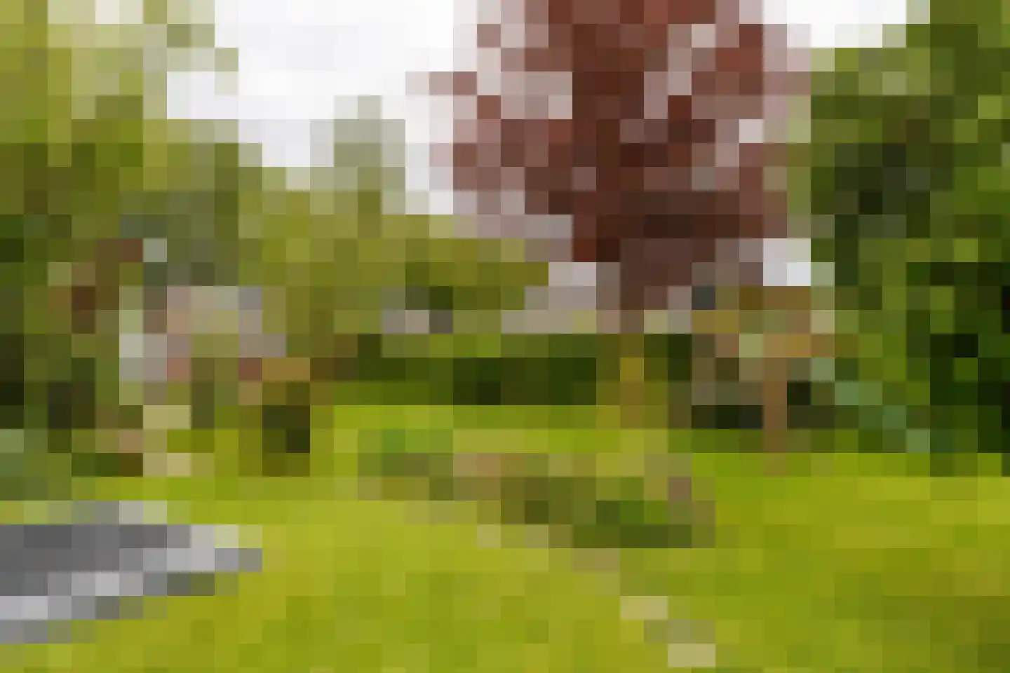 Wildveldseweg 3 Harmelen thumbnail 27