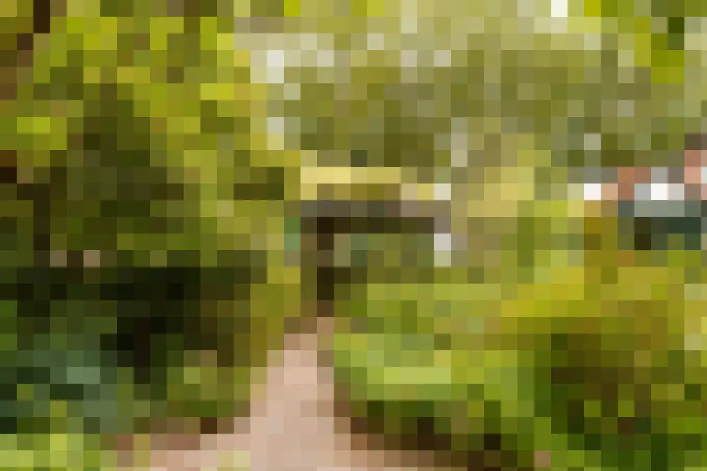 Wildveldseweg 3 Harmelen thumbnail 28