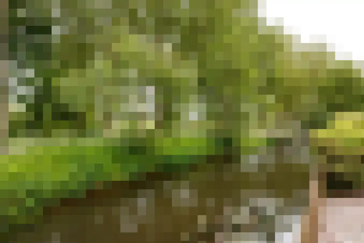 Wildveldseweg 3 Harmelen thumbnail 30