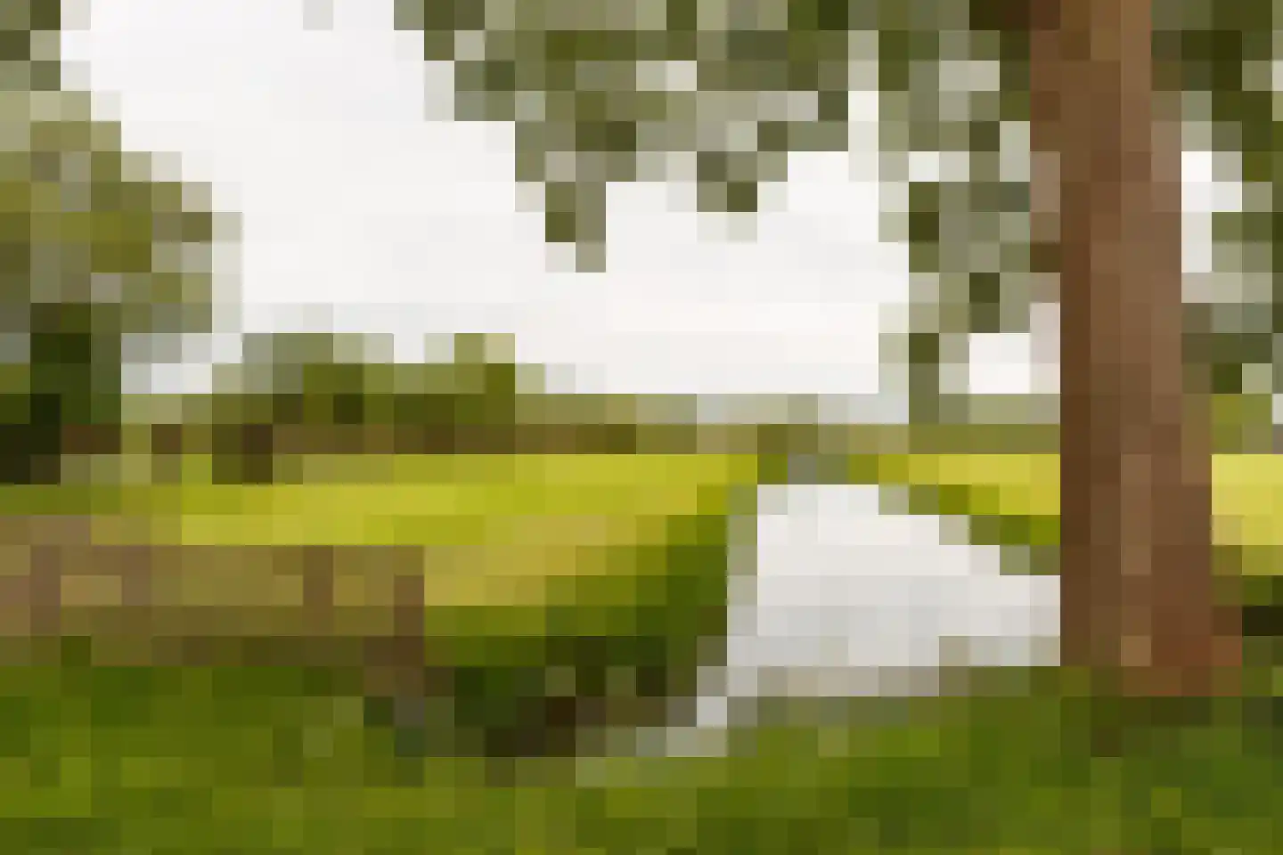 Wildveldseweg 3 Harmelen thumbnail 33