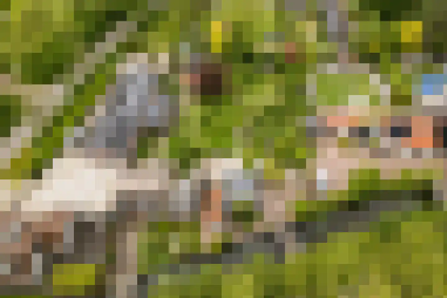 Wildveldseweg 3 Harmelen thumbnail 34