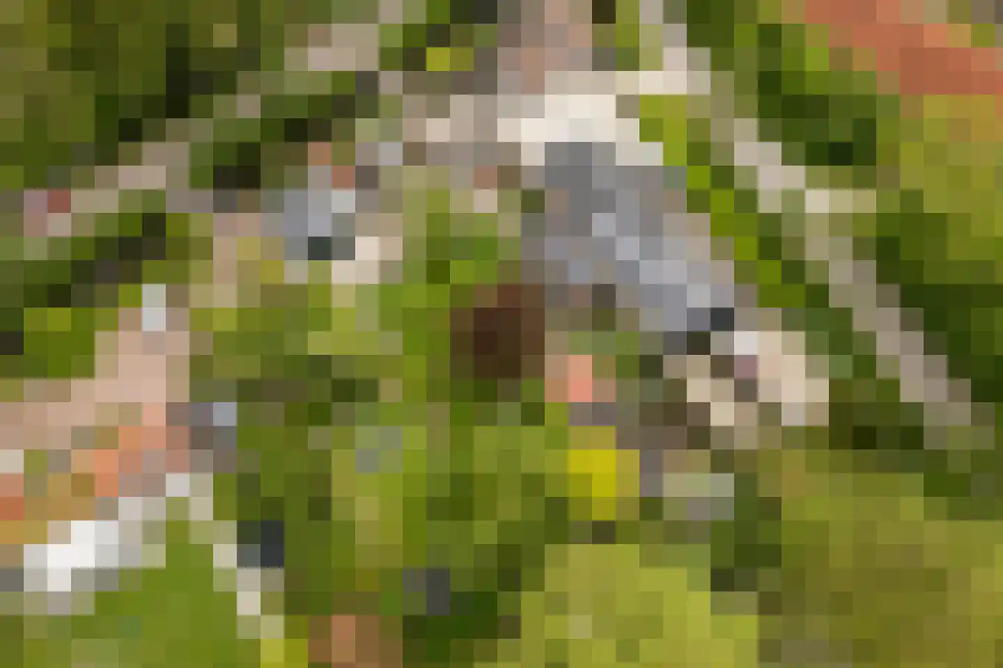 Wildveldseweg 3 Harmelen thumbnail 35