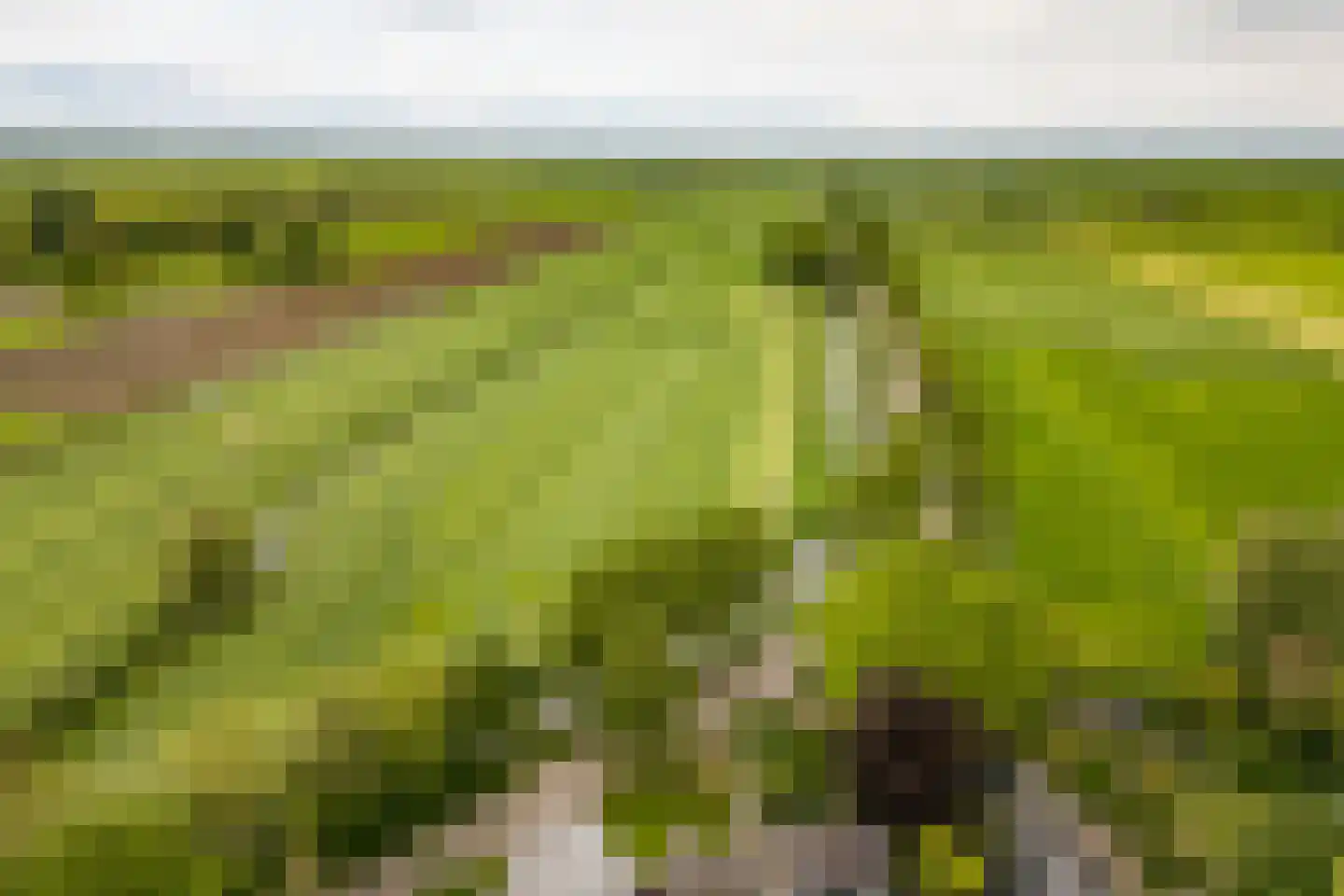 Wildveldseweg 3 Harmelen thumbnail 36