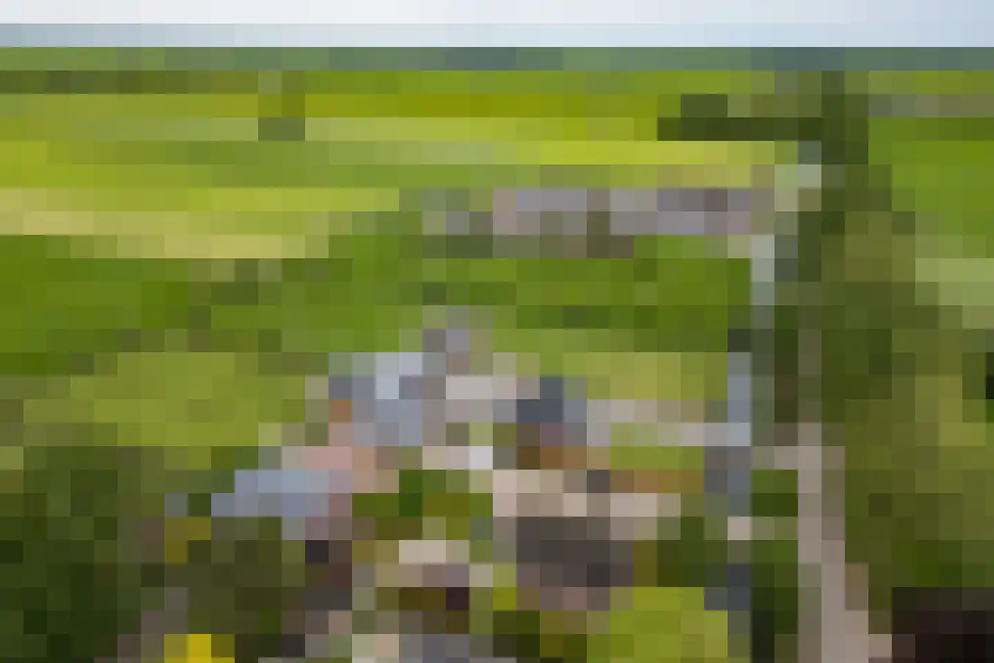 Wildveldseweg 3 Harmelen thumbnail 37