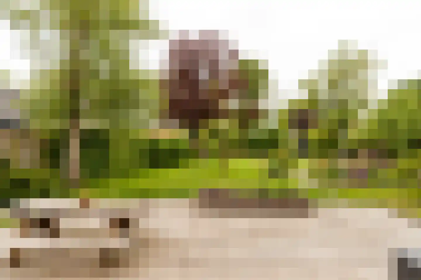 Wildveldseweg 3 Harmelen thumbnail 4