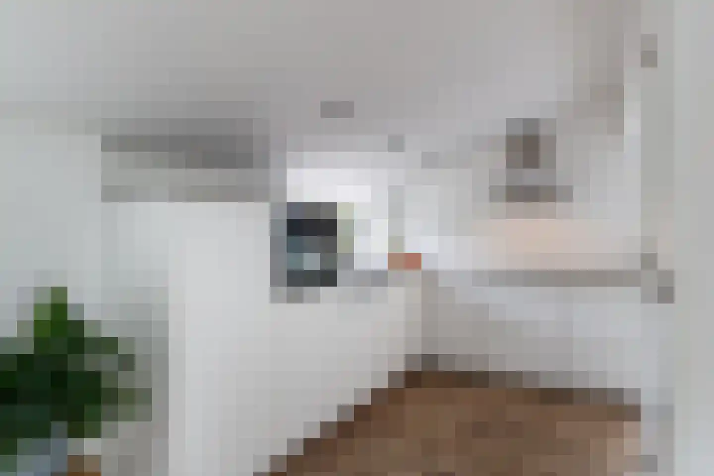 Wildveldseweg 3 Harmelen thumbnail 7