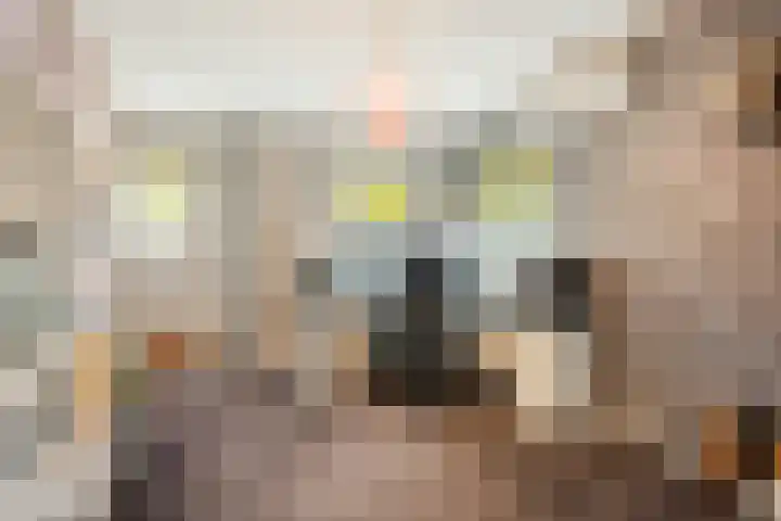 Wildwal 4 Veldhoven thumbnail 26