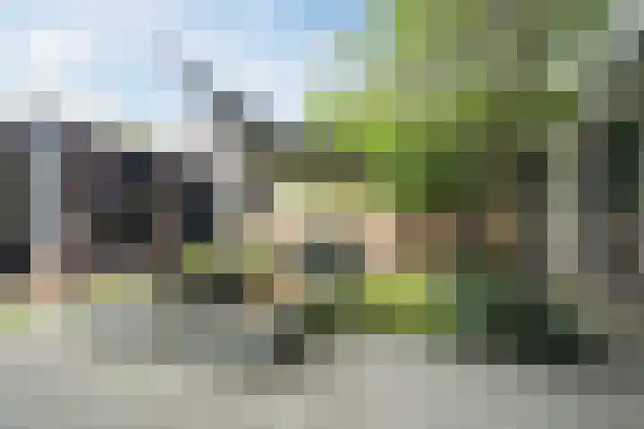 Wildwal 4 Veldhoven thumbnail 39