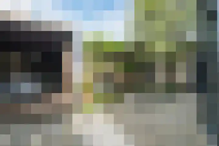 Wildwal 4 Veldhoven thumbnail 40