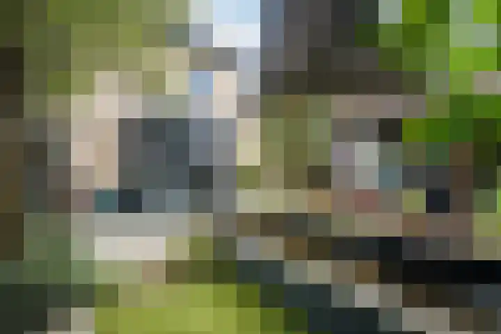 Wildwal 4 Veldhoven thumbnail 43
