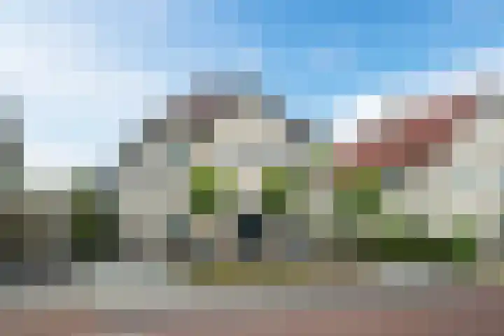 Wildwal 4 Veldhoven thumbnail 44