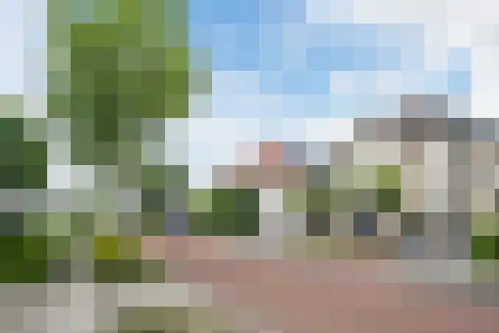 Wildwal 4 Veldhoven thumbnail 45