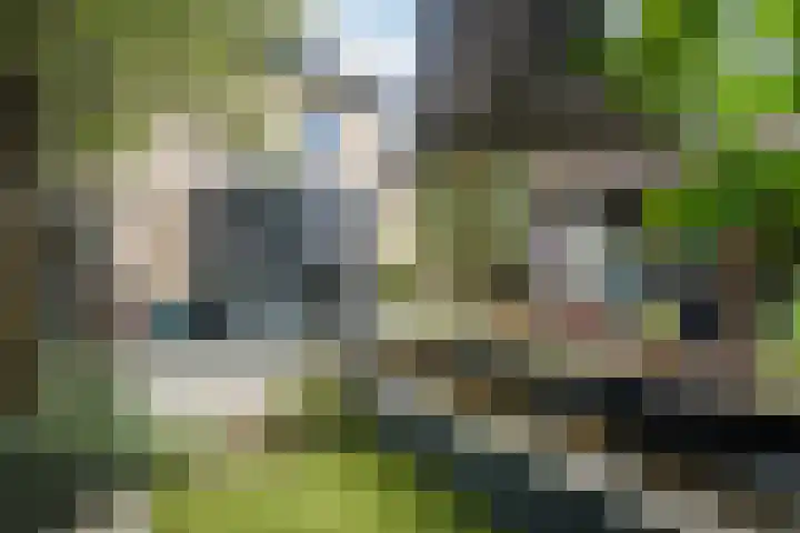 Wildwal 4 Veldhoven thumbnail 5