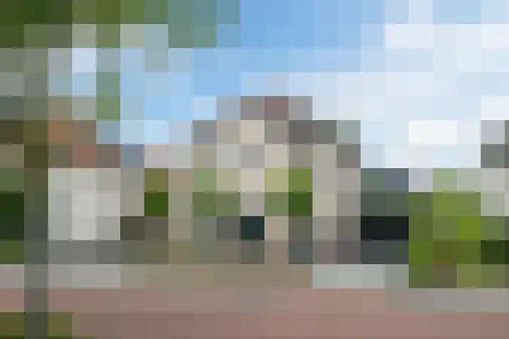 Wildwal 4 Veldhoven thumbnail 6