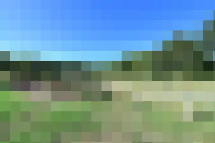 Wildweg 29 Huizen thumbnail 21