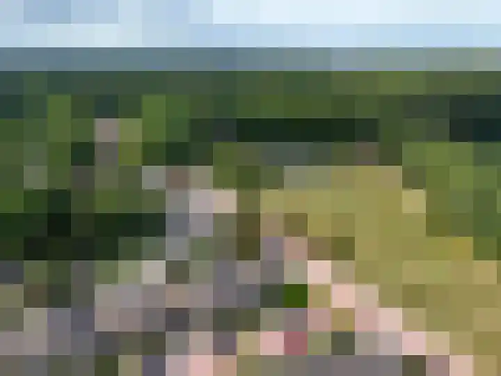 Wildweg 29 Huizen thumbnail 22