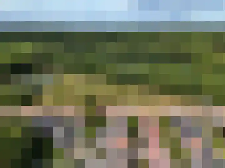 Wildweg 29 Huizen thumbnail 23