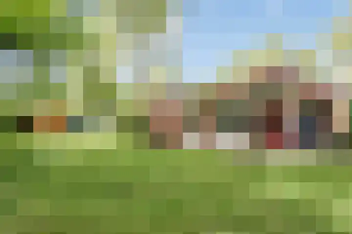 Wildweg 69 Holten thumbnail 20