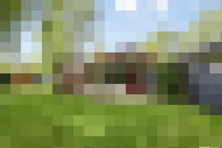 Wildweg 69 Holten thumbnail 24