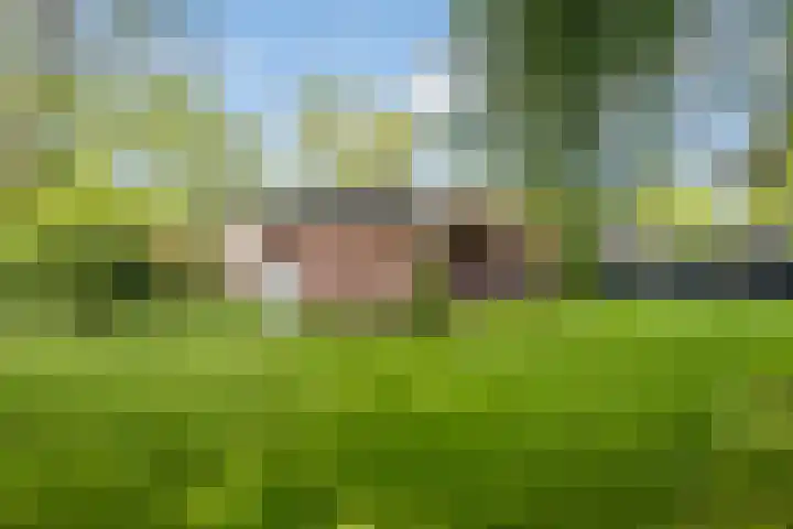 Wildweg 69 Holten thumbnail 26