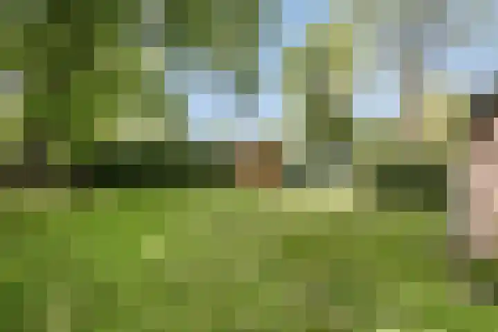 Wildweg 69 Holten thumbnail 28