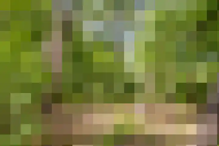 Wildweg 69 Holten thumbnail 32