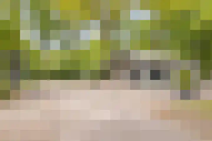 Wildweg 69 Holten thumbnail 34
