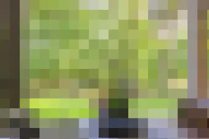Wildweg 69 Holten thumbnail 6