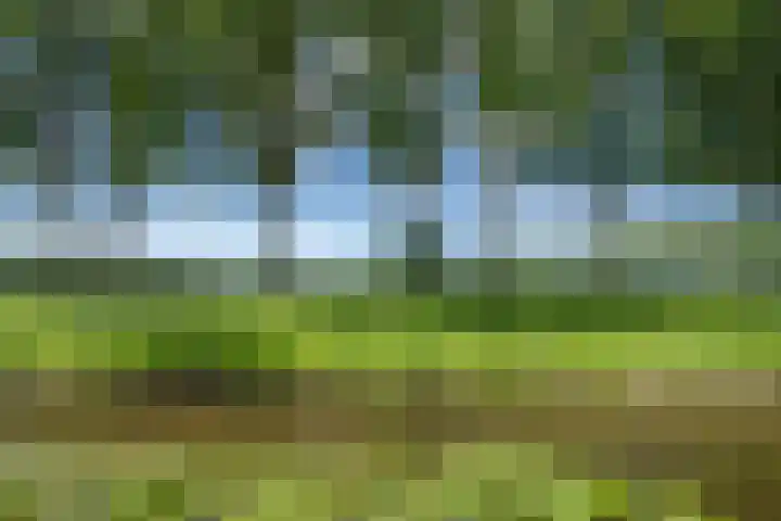 Wildweg 69 Holten thumbnail 7