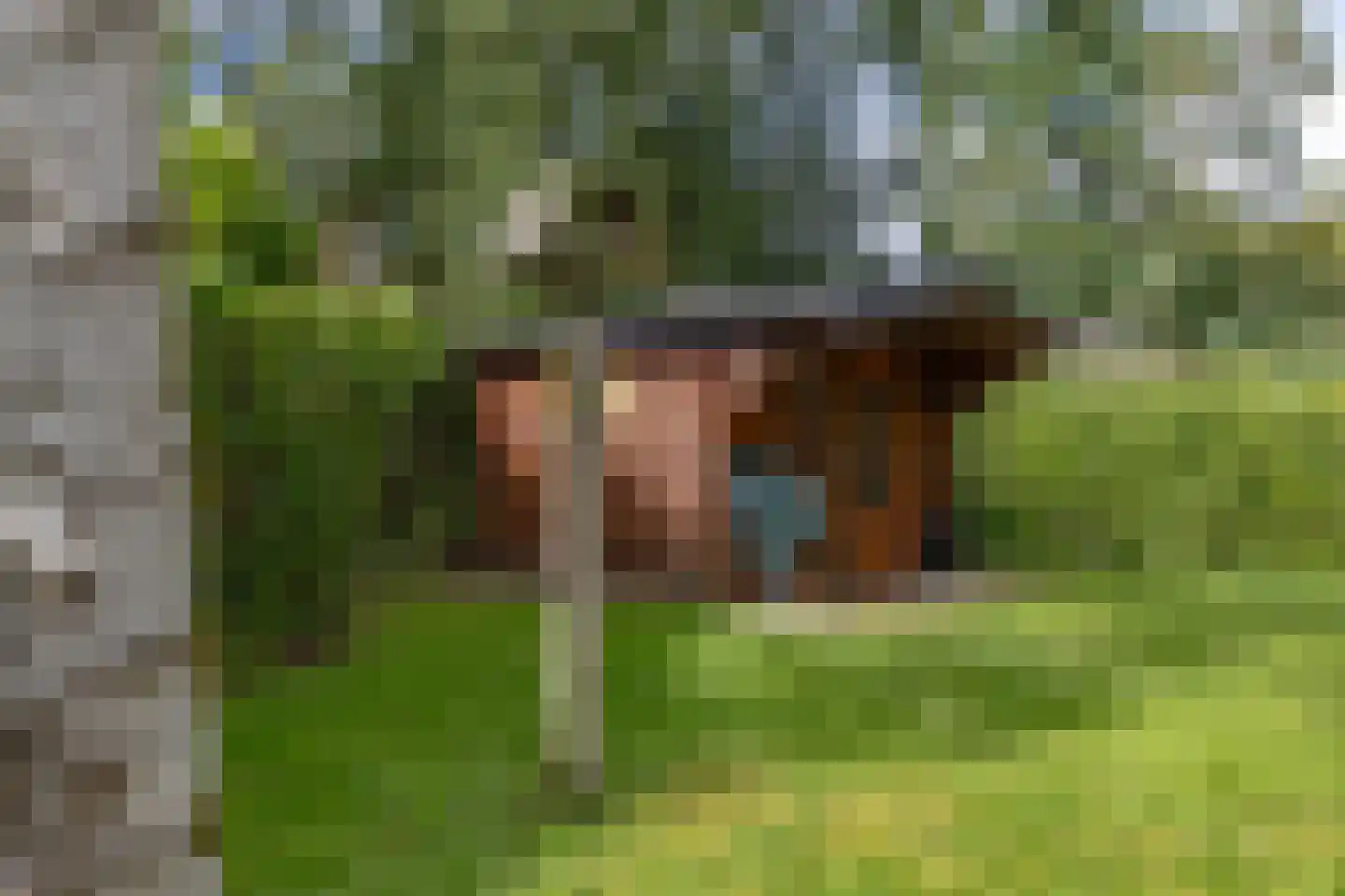 Wildweg 83 Holten thumbnail 23