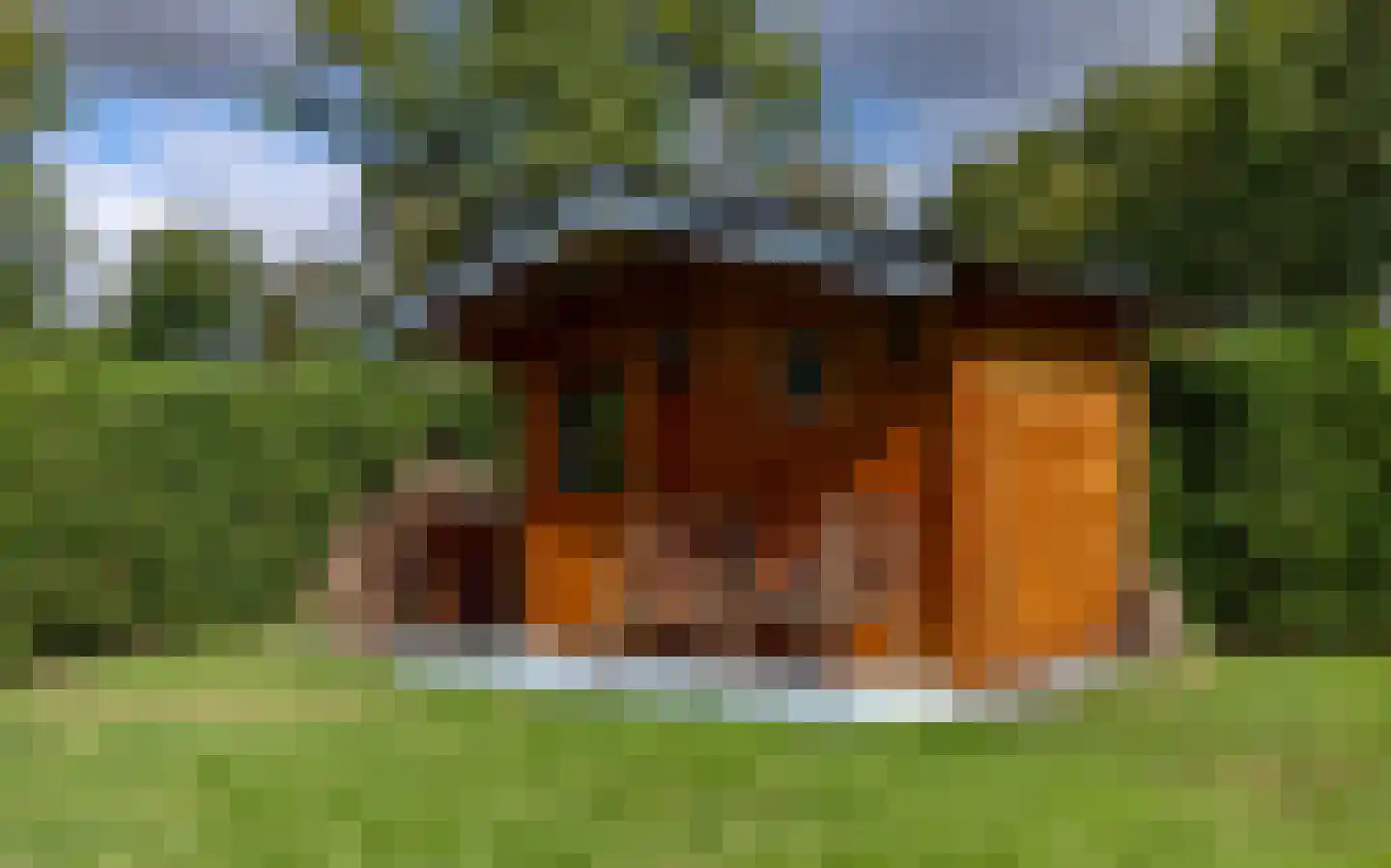Wildweg 83 Holten thumbnail 24
