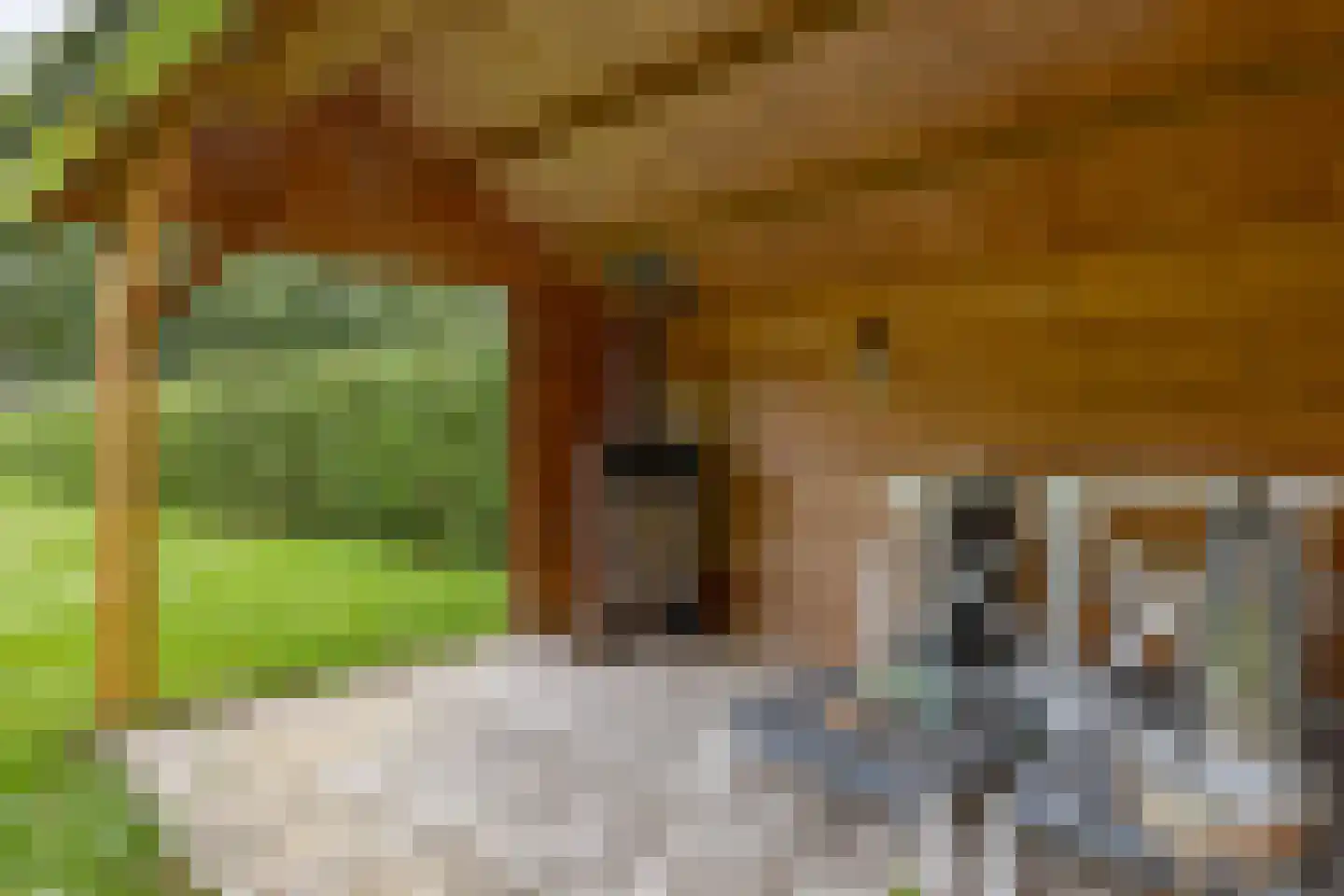 Wildweg 83 Holten thumbnail 25