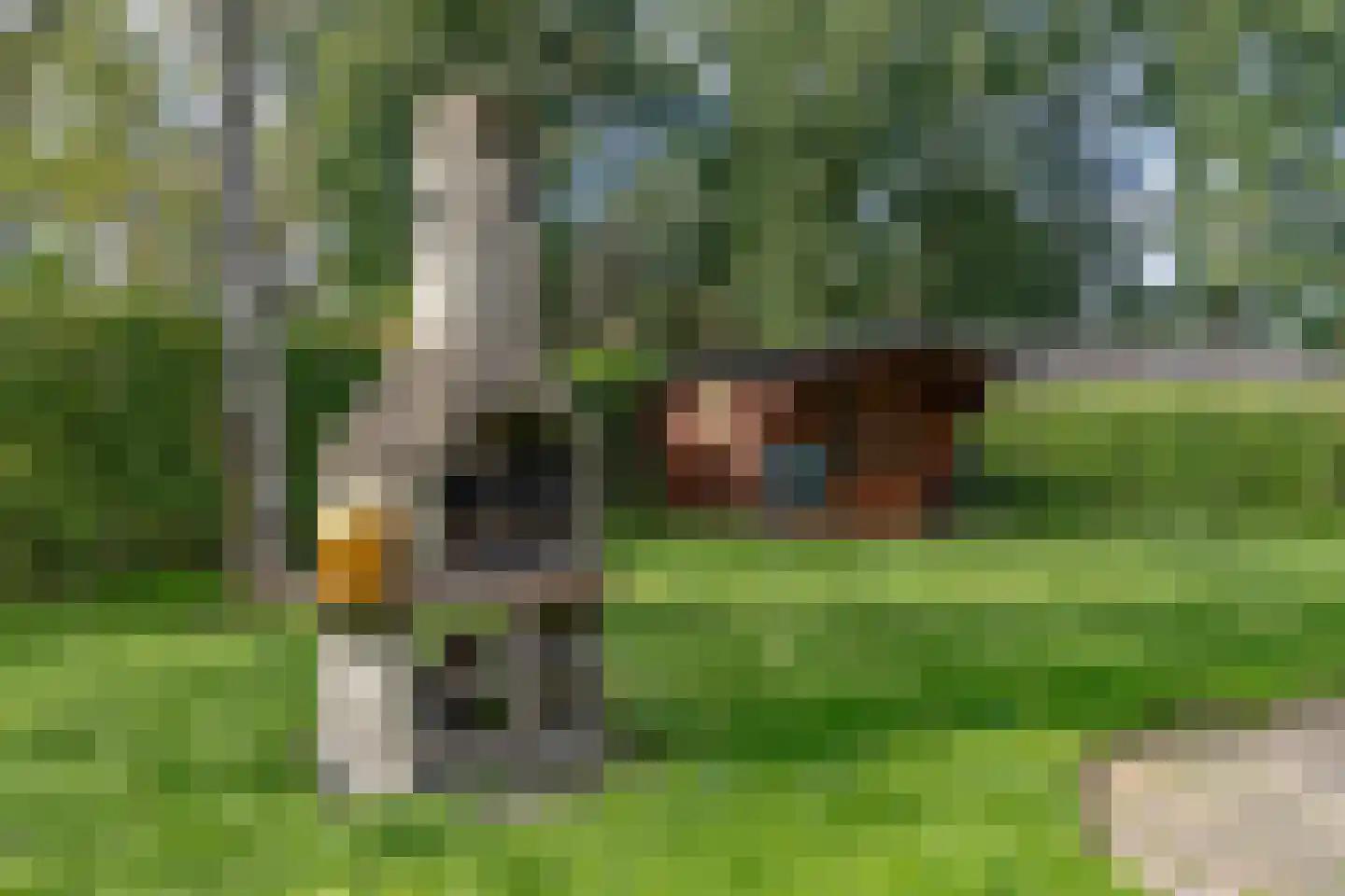 Wildweg 83 Holten thumbnail 28