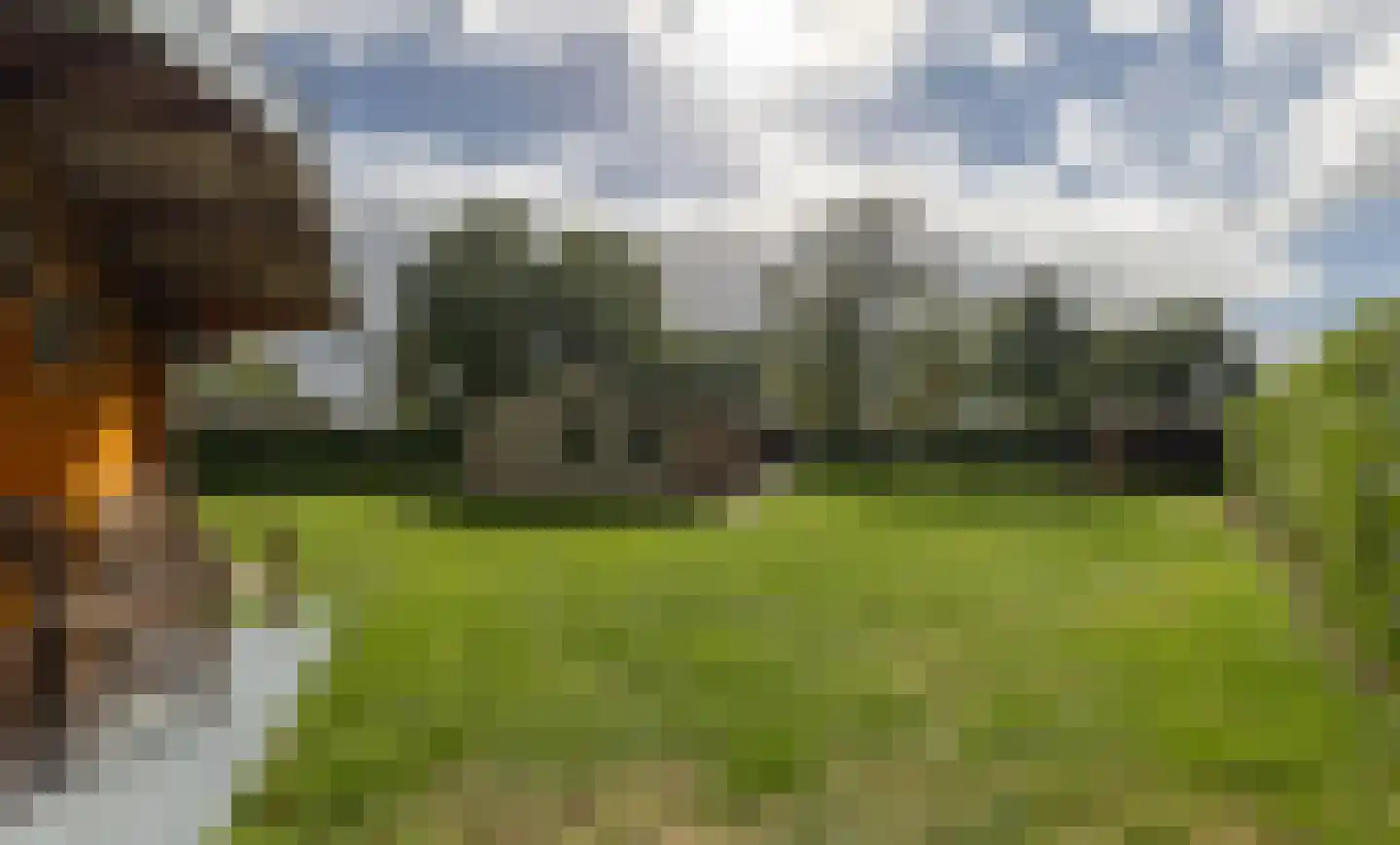 Wildweg 83 Holten thumbnail 29