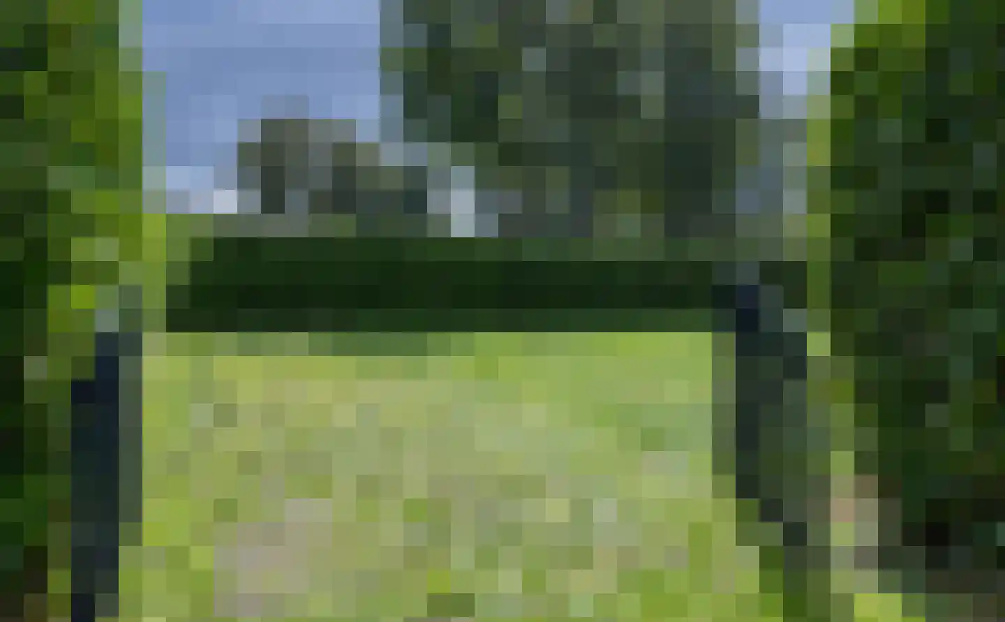 Wildweg 83 Holten thumbnail 33