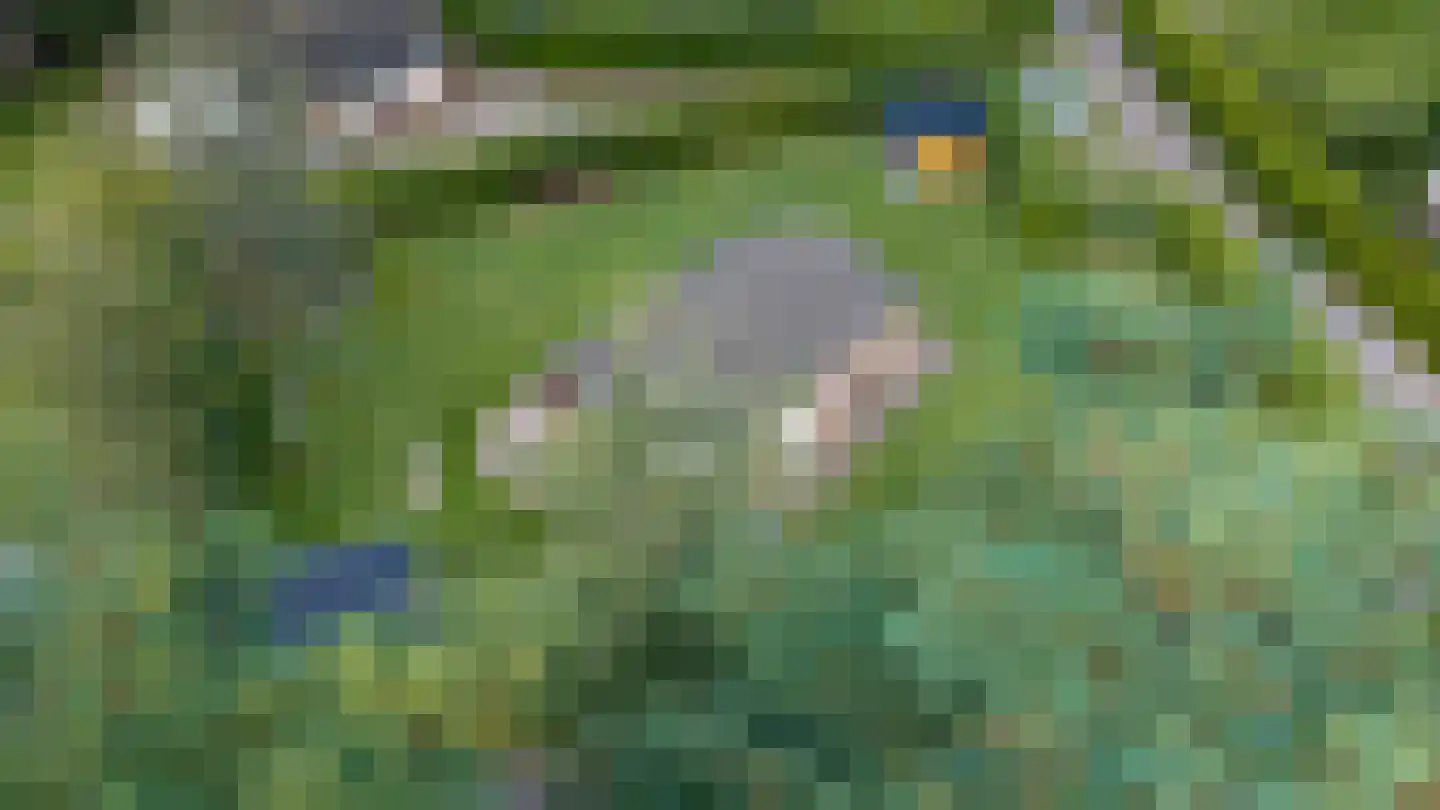 Wildweg 83 Holten thumbnail 41