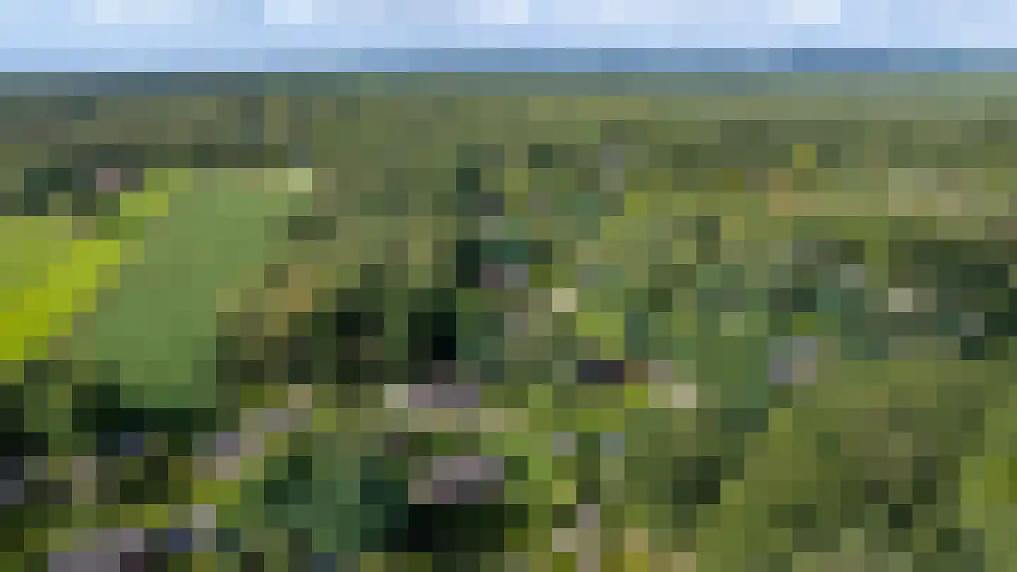 Wildweg 83 Holten thumbnail 44