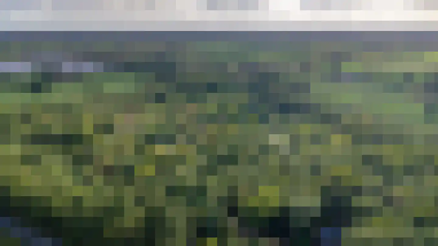 Wildweg 83 Holten thumbnail 45