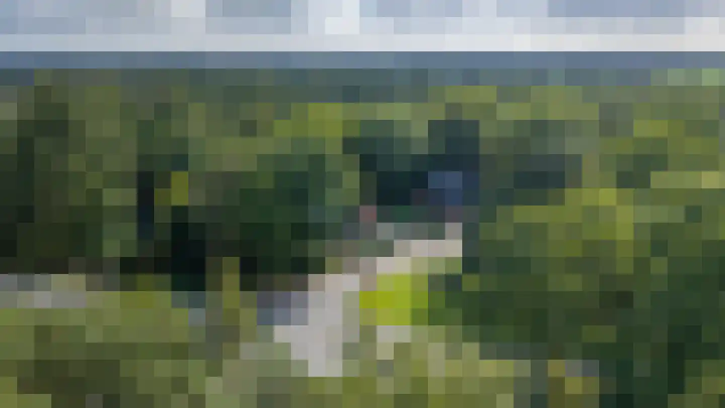 Wildweg 83 Holten thumbnail 46