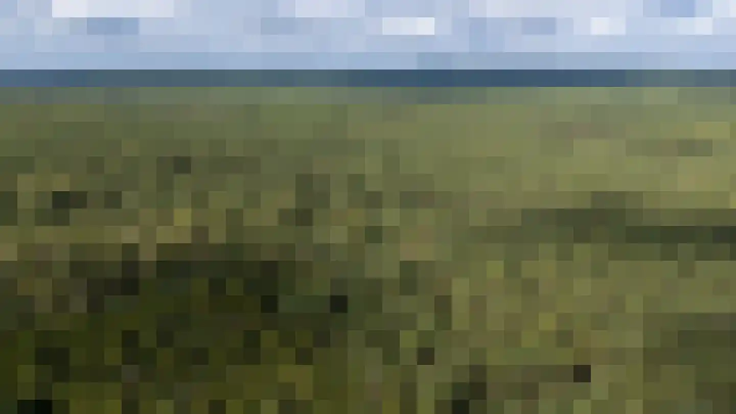 Wildweg 83 Holten thumbnail 47