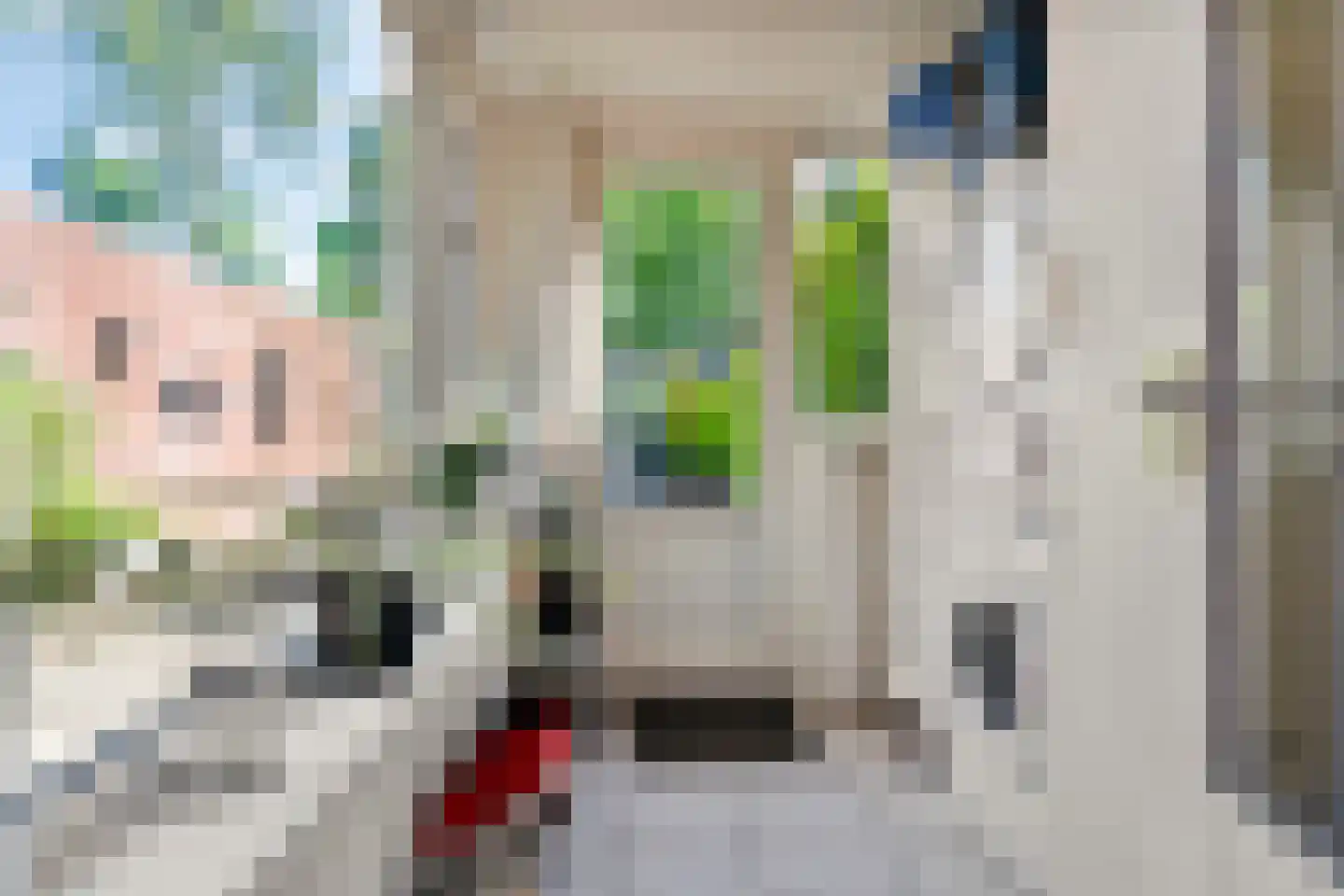 Wildzang 25 Huissen thumbnail 14