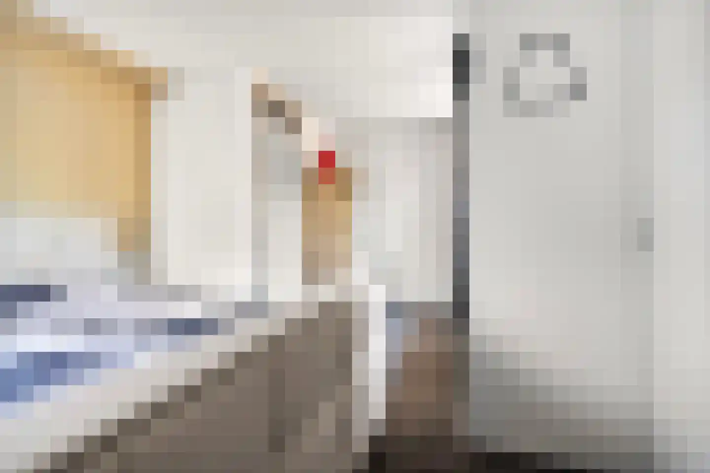 Wildzang 25 Huissen thumbnail 20