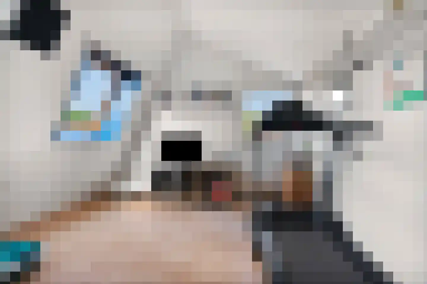 Wildzang 25 Huissen thumbnail 31
