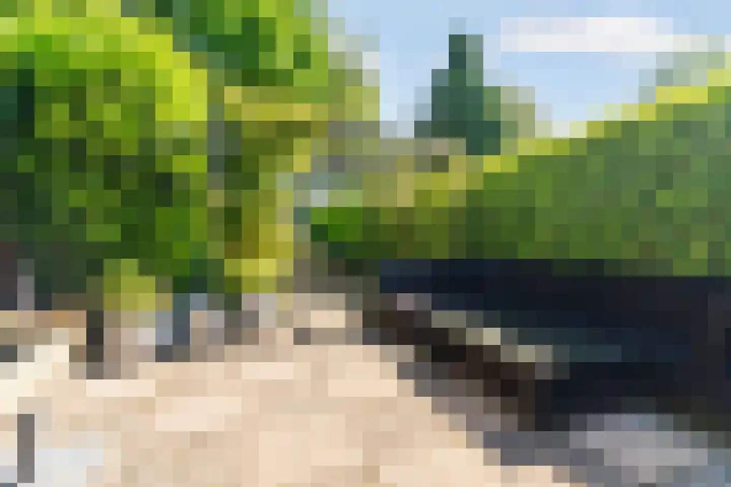 Wildzang 25 Huissen thumbnail 38