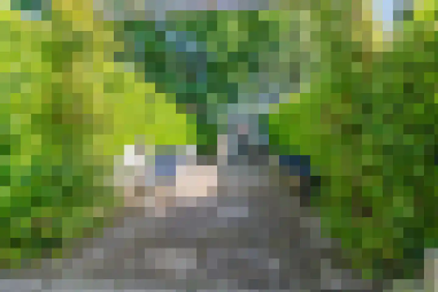 Wildzang 25 Huissen thumbnail 39