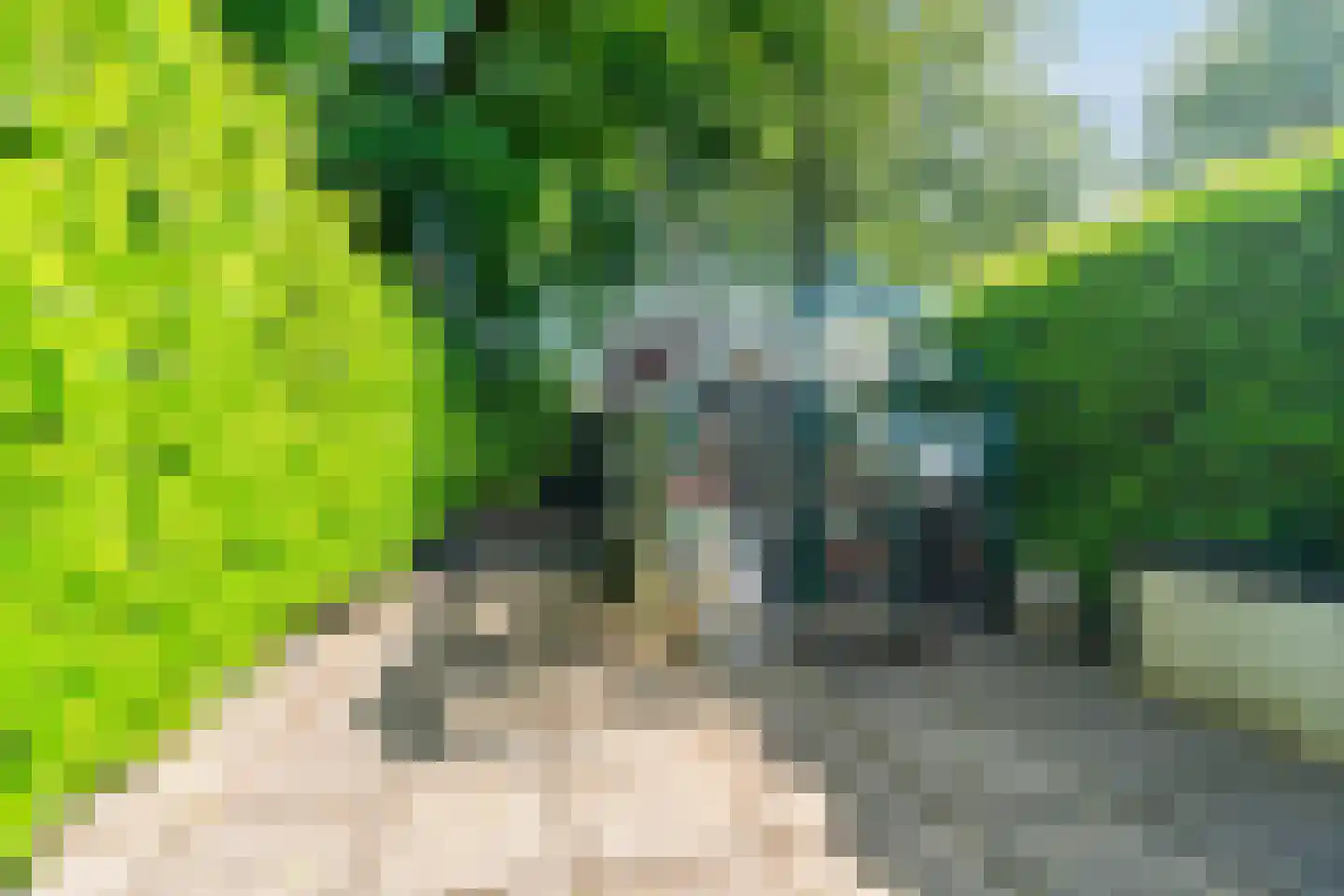 Wildzang 25 Huissen thumbnail 40
