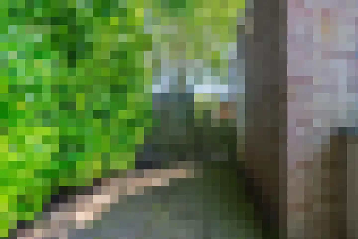Wildzang 25 Huissen thumbnail 41
