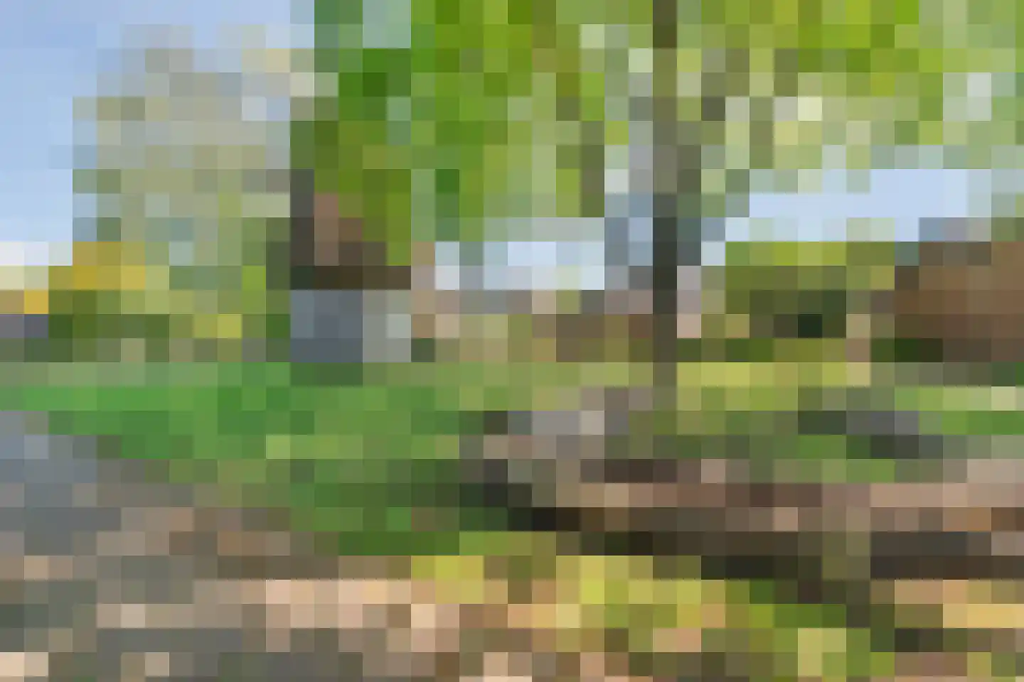 Wildzang 25 Huissen thumbnail 42