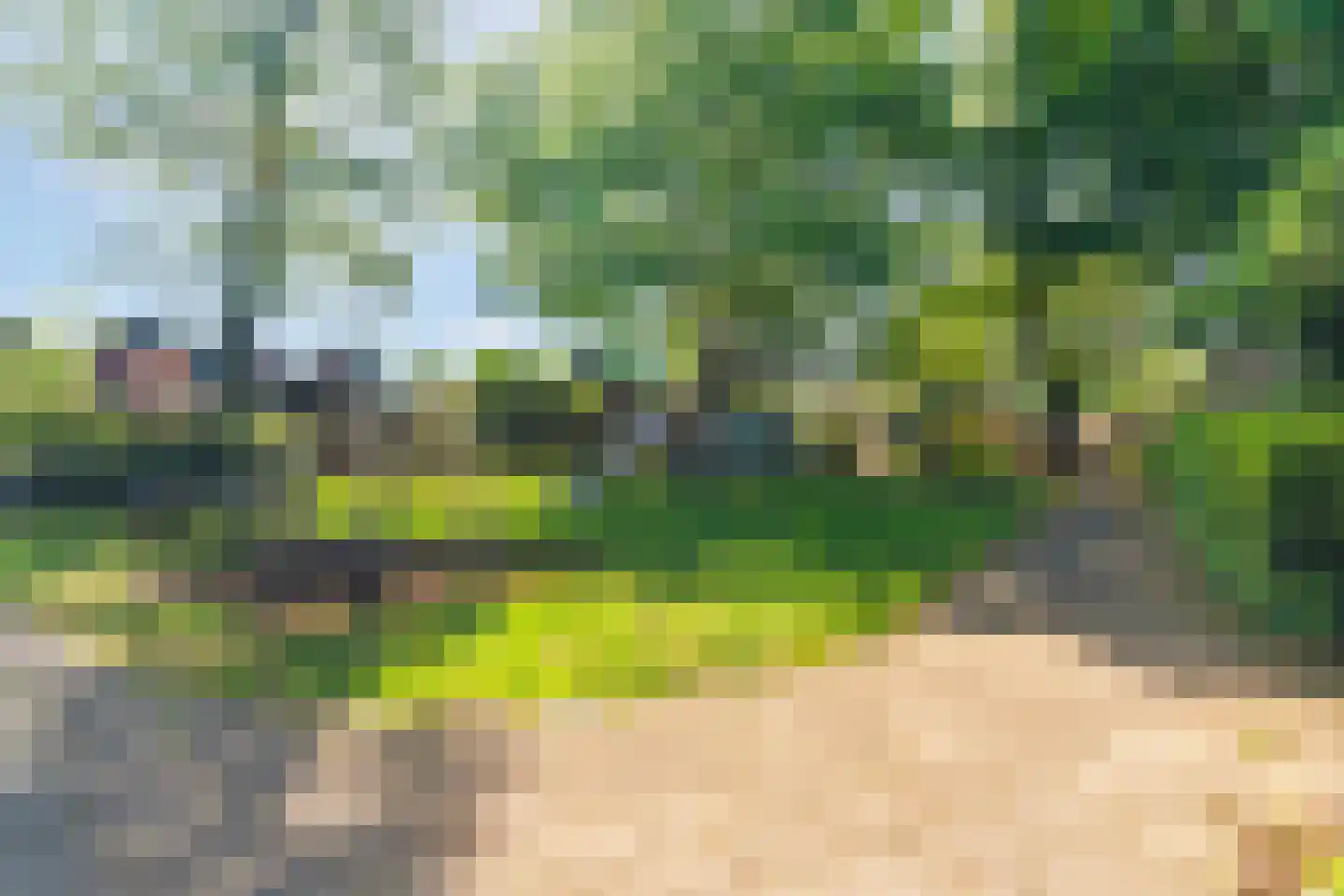 Wildzang 25 Huissen thumbnail 43